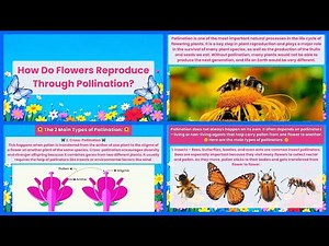 💟 (SCIENCE) How Do Flowers Reproduce Through Pollination? | #iQuestionPH