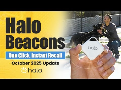 How Halo Beacon Works Complete Guide to the Halo Remote and Zone Beacons (Oct 2025 Update)