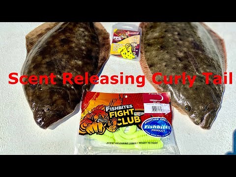 How To Target Flounder Using Fishbites Fight Club’s Dirty Boxer (Curly Tail)