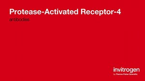 Protease-Activated Receptor-4 antibodies from Thermo Fisher Scientific