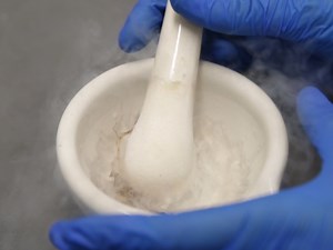 Exploring the Root Microbiome: Extracting Bacterial Community Data from the Soil, Rhizosphere, and Root Endosphere