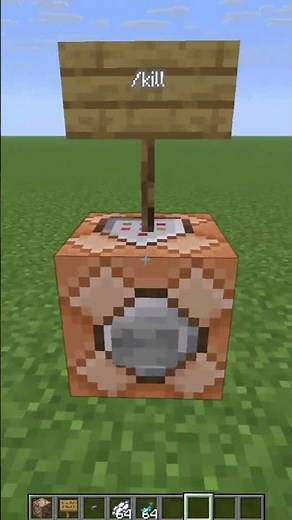 How To Use The /KILL Command!