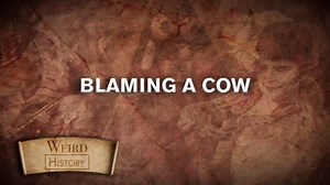 What Happened After the Great Chicago Fire