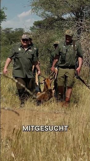 HUNTING IN NAMIBIA EPISODE 1 🇳🇦 THE IMMENHOF by @jagenNRW