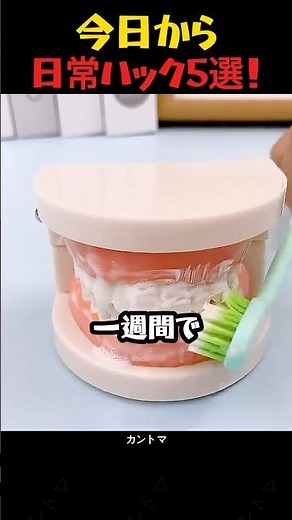 5 Daily Hacks for Today: Teeth, Toilet, Fingers