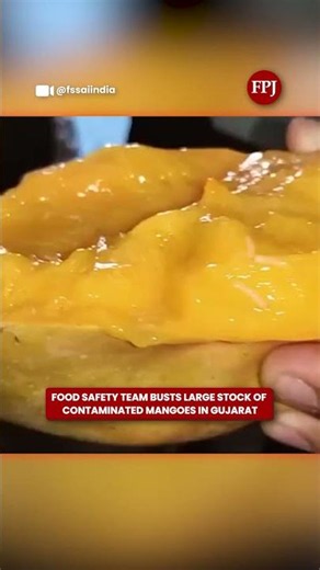 Heavily-Rotten Mangoes Seized in Gujarat Food Safety Raid