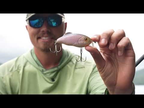 Deep Dive - The Perfect Hybrid Hunter Setup - Cody Ross