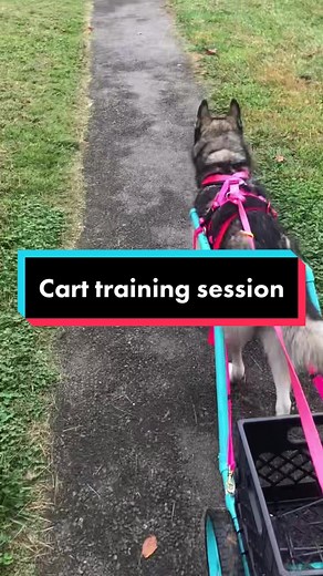 Lauren+Monarch+Bishop on TikTok