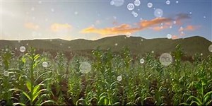 KISS THE GROUND Trailer | Movie Trailers and Videos