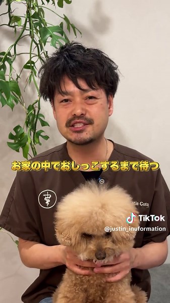 犬のトイレトレーニング法：外でしかしない場合の対策