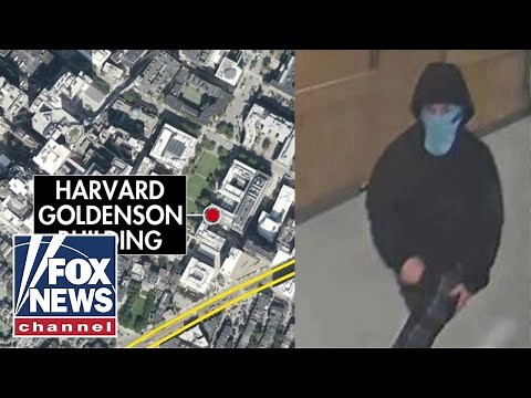 BREAKING: Alleged Harvard explosion suspect pictured on cam
