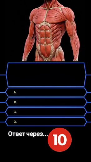 Вопрос на миллион! on TikTok