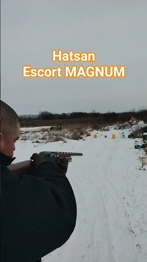 How accurate is the Hatsan Escort Magnum really #shotgunreview #test