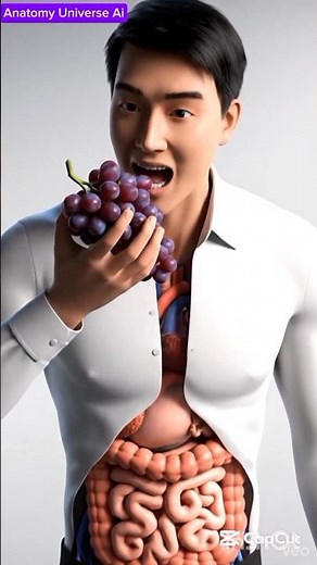 What Happens When You Eat Grapes l 3D Animation.