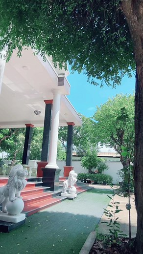 Sweeping the Garden: Tips for a Pristine Lawn