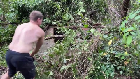 Recover from falling tree damage to rebuild a sturdy brick hut