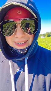 Ssi d3 simple | Isaura Lopez