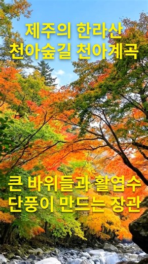 🌿10월엔 은빛 억새, 11월엔 붉은 단풍 | 소확행 힐링 명소 10곳