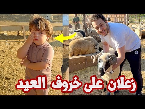 خروف العيد هرب من عصومي | أصعب مواجهة !!