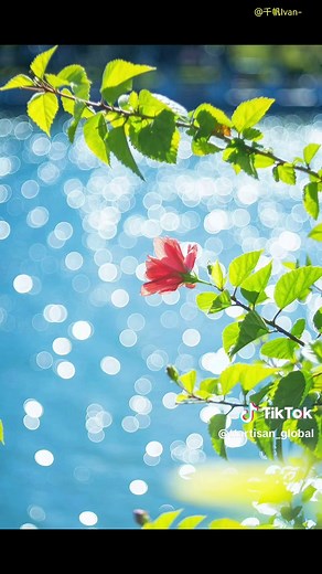 TTARTISAN 100mm F2.8 Bubble Bokeh Lens — Bubble Bokeh Photography Tips