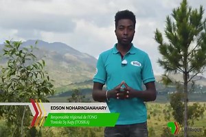 14K views · 5.5K reactions | [Partenariat rémunéré] OCP, partenaire du reboisement communautaire à Madagascar pour permettre aux communautés locales de bénéficier de revenus additionnels à travers l’installation de pépinières de proximité et la plantation d’ arbres endémiques en vue de la restauration de la biodiversité à Madagascar. #reboisement #protection de l’environnement #biodiversité #OCPForAfrica | TV5MONDE Afrique | Facebook