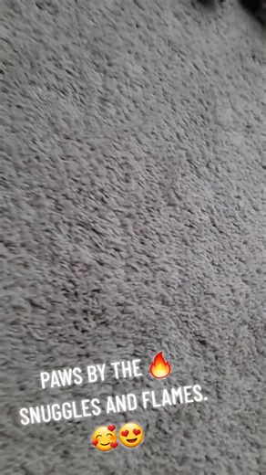 pop's (@angelpapichulo1)’s videos with FOUND - Zach webb