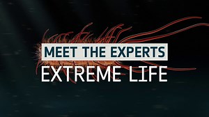 Meet the Experts: Extreme life