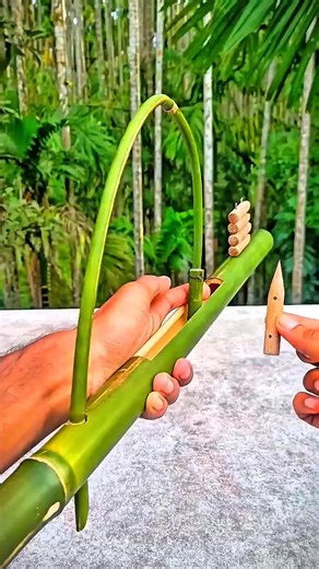 Creative Bamboo Craft Ideas to Try at Home