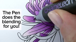 163K views · 436 reactions | One Chameleon Pen is all you need! Do...