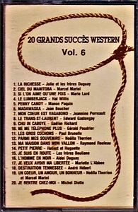 Various - 20 Grands Succès Western Vol. 6