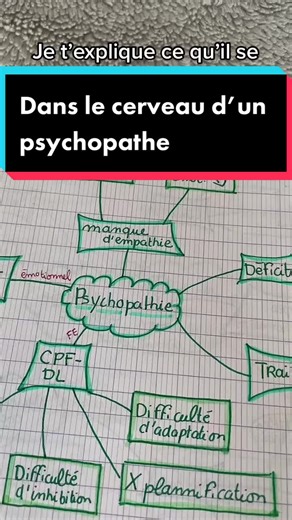 Comprendre la Psychopathie: Déficits Emotionnels et Prise de Risques