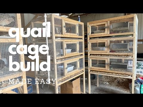 If I Started RAISING QUAIL In 2025, I'd BUILD THIS CAGE.