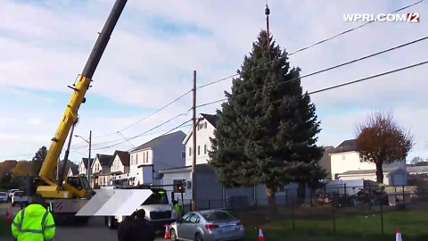 Video Now: 2025 Fall River Christmas tree cut down