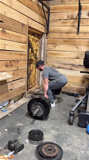 Dan Bailey on Instagram: "Still going with 365lbs at 6:30am and climbing on the cold bar challenge for @crossfitrobo. - Goal is 405 and will see what happens from there. As long as that back doesn’t round we will keep pulling! - All the details can be found in my bio. - #alwaystrain #iam1stphorm #roguefitness #staystrong #crossfit"