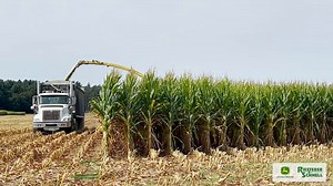 27K views · 391 reactions | Forage Solutions harvesting corn silage with a John Deere 9900 Self-Propelled Forage Harvester! #JohnDeere #RandS #Harvest24 #Wisconsin #CornSilage | Riesterer & Schnell | Facebook