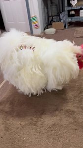 19K views · 2.8K reactions | Good morning!! Happy Wednesday, August...