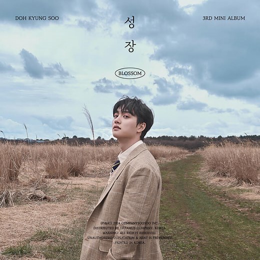 D.O. - Simple Joys Lyrics English Translation