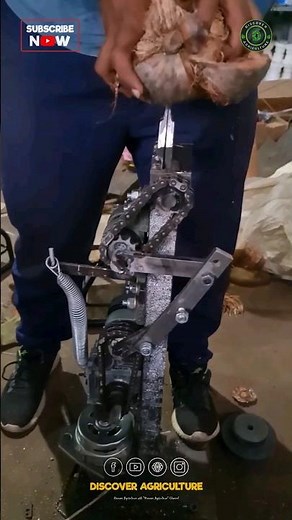 Electric Coconut Dehusking tool