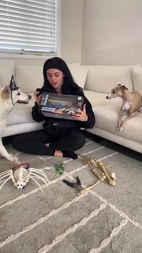 DIY Halloween Remote Control Spider Car Transformation