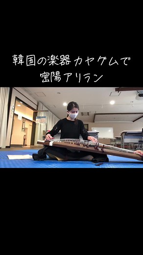 韓国のお琴、カヤグム(伽耶琴)で密陽アリラン🎵 #カヤグム #伽耶琴 #アリラン #密陽アリラン #gayageum #music #韓国 #韓流 #kpop #가야금 #국악 #아리랑 #밀양아리랑