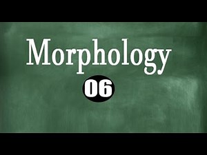Linguistics [ Morpholgy ]: Word Formation شرح طريقة Compounding -الدرس السـادس -06-