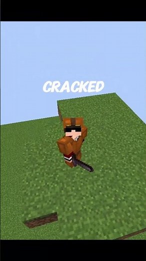 Top 8 Best Cracked Minecraft Servers 2025 🔥 (ip + port)