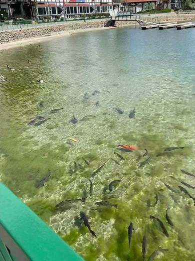 Lake Arrowhead California