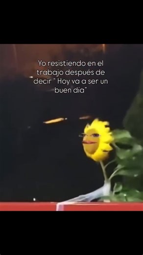 Curriculum's Sol | #rrhhargentina #rrhh #busquedalaboral #curriculumvitae #rrhh💙 #argentina🇦🇷 #buenosaires #empleo #empleos #empleabilidad #ypf #playero... | Instagram