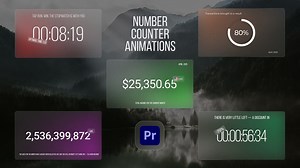 Number Counter Animations