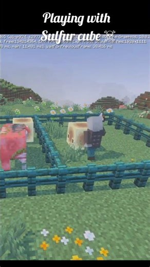 pillager playing with cube ☠️‼️#minecraft #shorts #7x7