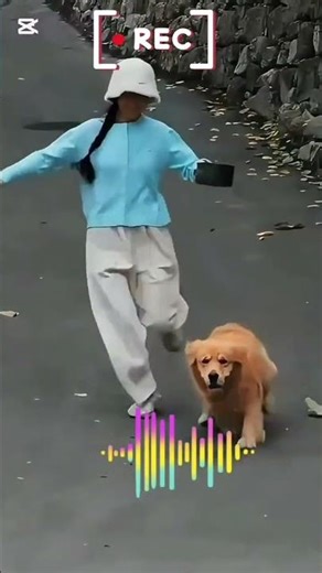 웃음참기 실패한 순간들 🤣 | Funny Fails Compilation| 전 세계가 웃은 실수 모음 😭 | Viral Funny Videos| #각종유머 #유머