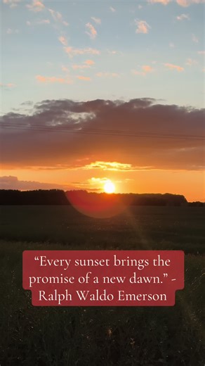 Gem | Their Words | My Lens on TikTok