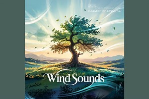 Wind Sounds | Noise Ambient | Unity Asset Store