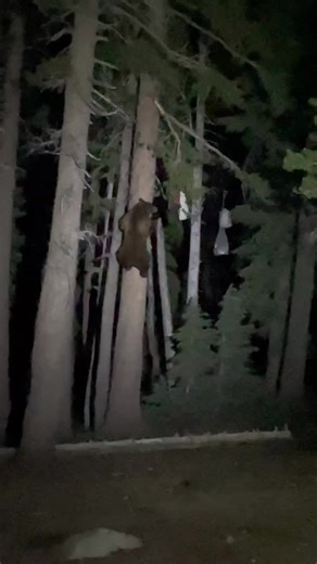 TSX Challenge (@tsxchallenge)’s videos with original sound - TSX Challenge